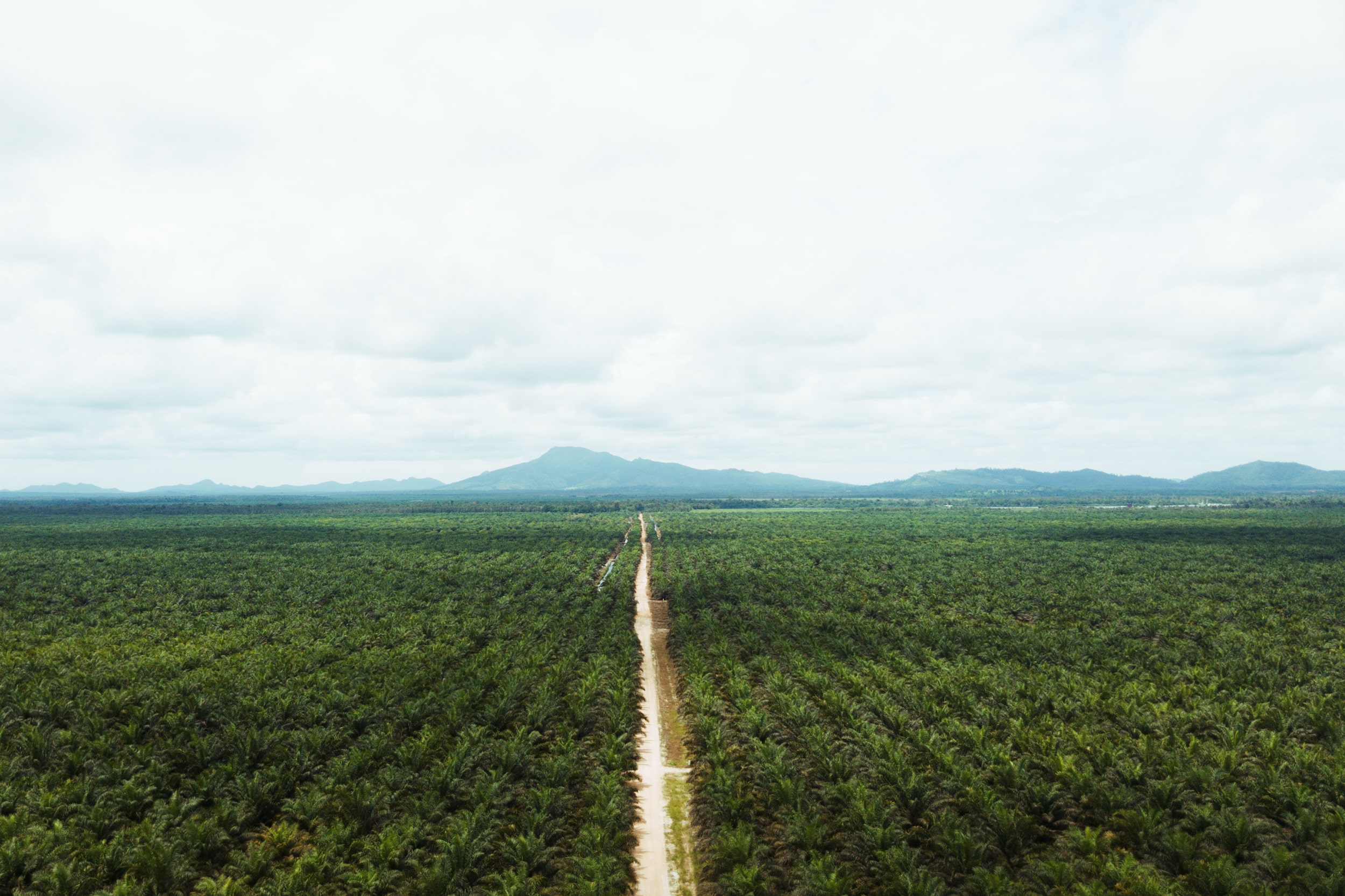 Cargill expands segregated sustainable palm oil capacity in North America
