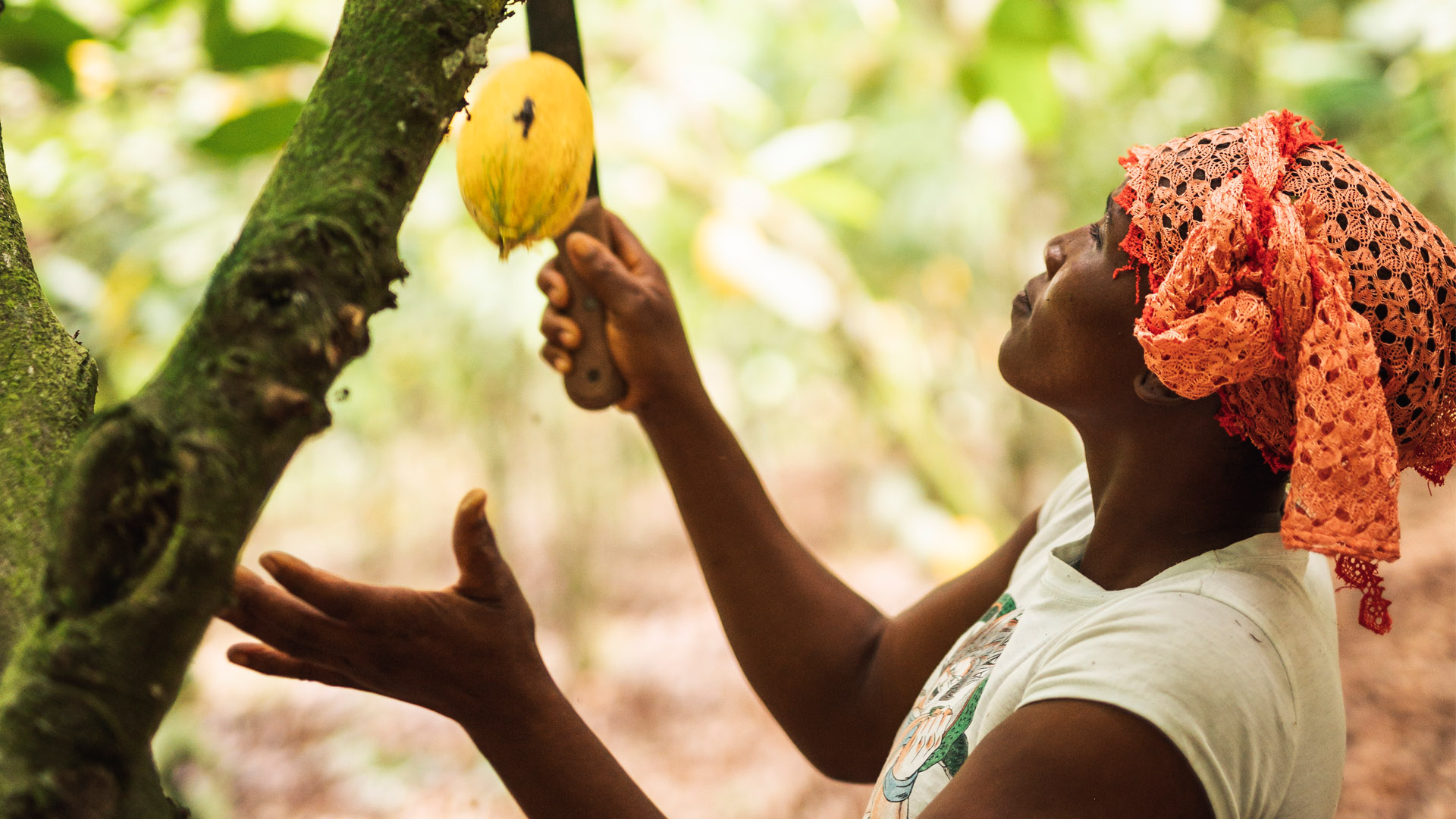 Fairtrade calls for EU to back living incomes in African supply chains
