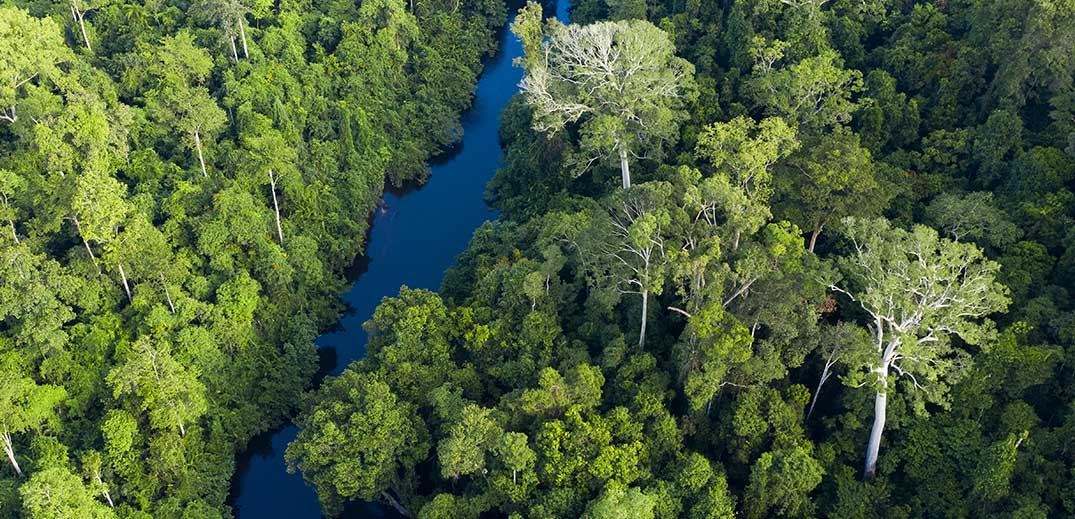 Nestlé  to support restoration of forest landscapes in Asia