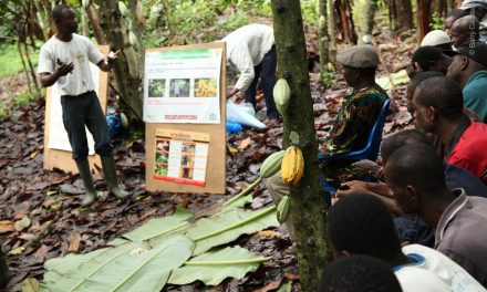 Barry Callebaut’s climate change efforts recognised