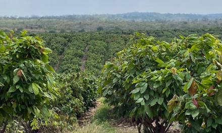 Barry Callebaut establishes Farm of the Future