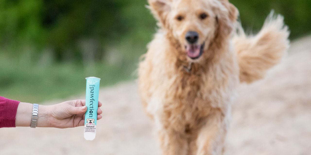 Simply Ice Cream launches new frozen dog treats