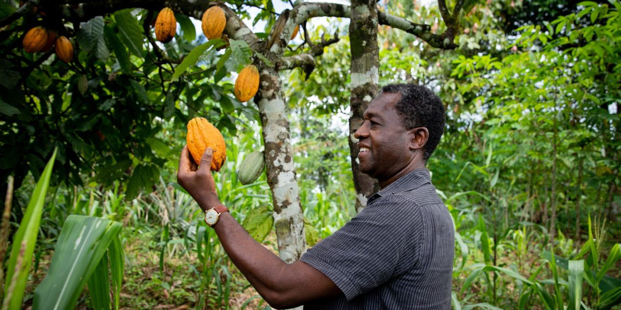 ofi drives climate action in global cocoa supply chain