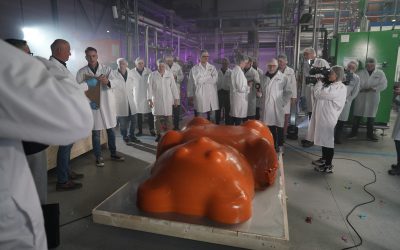 Tanis sets world record for largest gummy bear casting