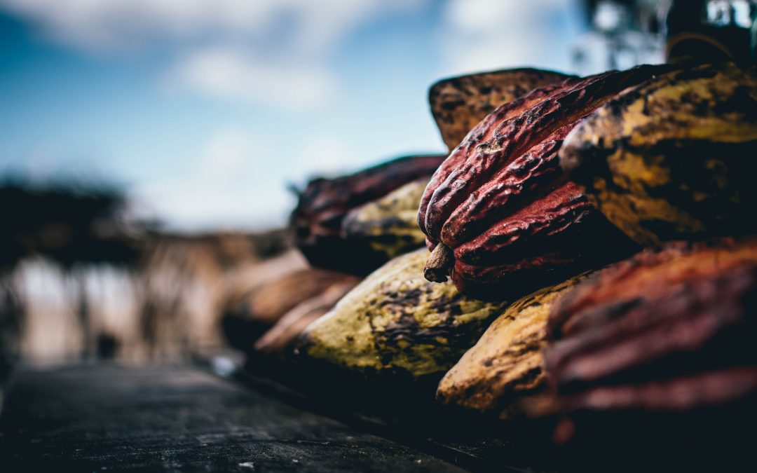 Consumer support for Fairtrade remains strong