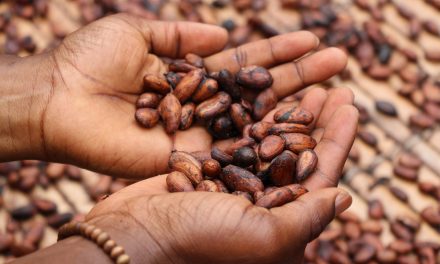 Cargill deploys zero-emission transport for cocoa beans