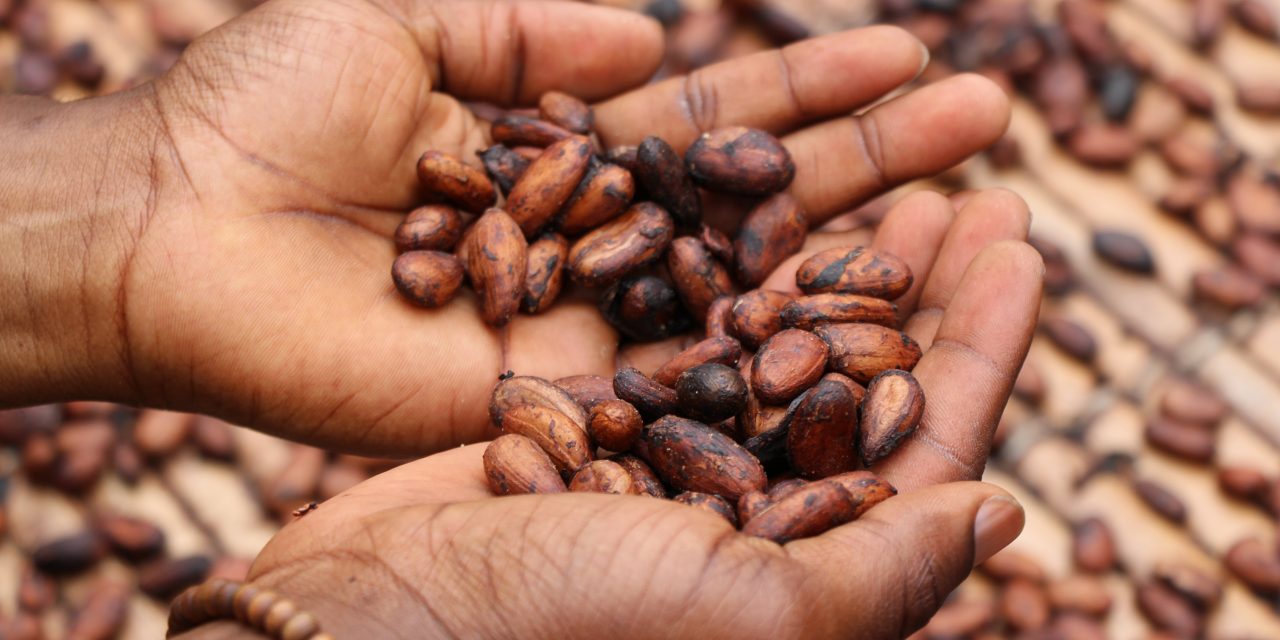 Under Pressure: Unpacking sugar and cocoa challenges