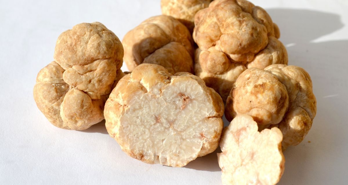 MycoTechnology’s honey truffle sweetener prepares for market